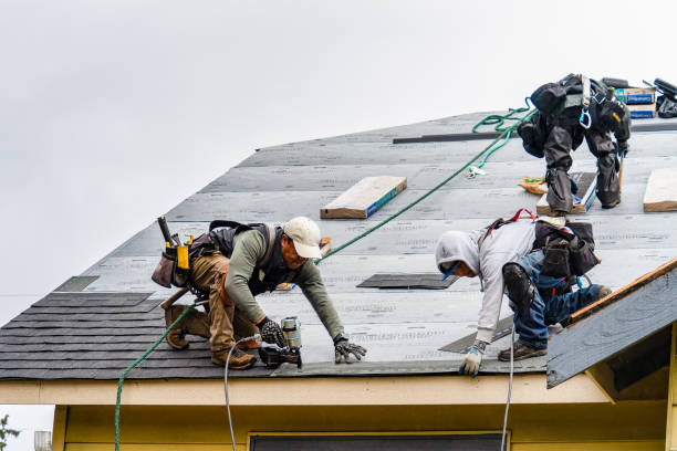 Professional Gutter Installation technician working in Elkton, KY
